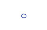 Kavo O-Ring 15x2,5 - neu