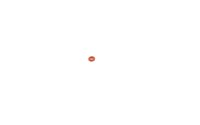 Sirona O-Ring 2,9X 1,78-N-70 - neu