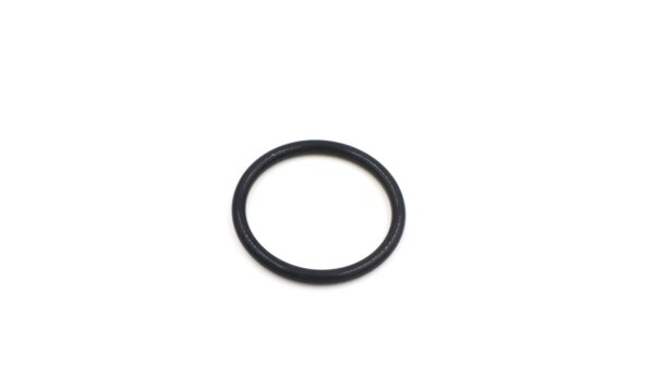Kavo O-Ring 25,07x2,62 ( 1 Stk.) Wasserblock - neu