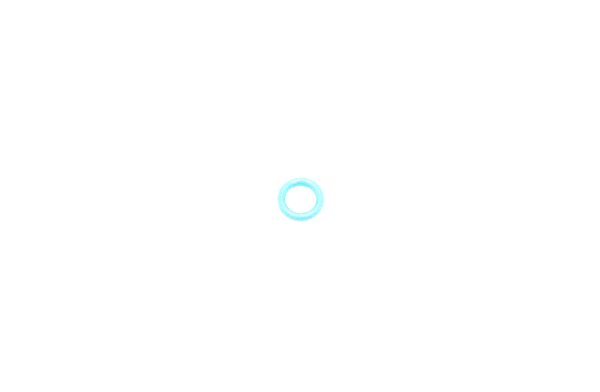 TD O-Ring 6,07 X 1,78 für Sirona - neu