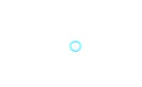 TD O-Ring 6,07 X 1,78 - neu
