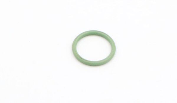 Dürr O-Ring  20,00 x  2,50 Viton-neu
