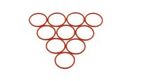 TD O-Ring 21x1,5 (10 Stk.) für Kavo Selektivkolben  neu