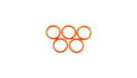 TD O-Ring 9,00 x 1,50 mm ( 5 Stk.) für Kavo...