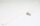 SciCan Teflon Gleitschiene unterer Korb Hydrim L110/M2-neu