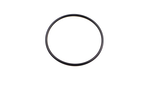 Kavo O-Ring 106x4,5 - neu